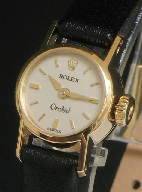 rolex orchid for sale